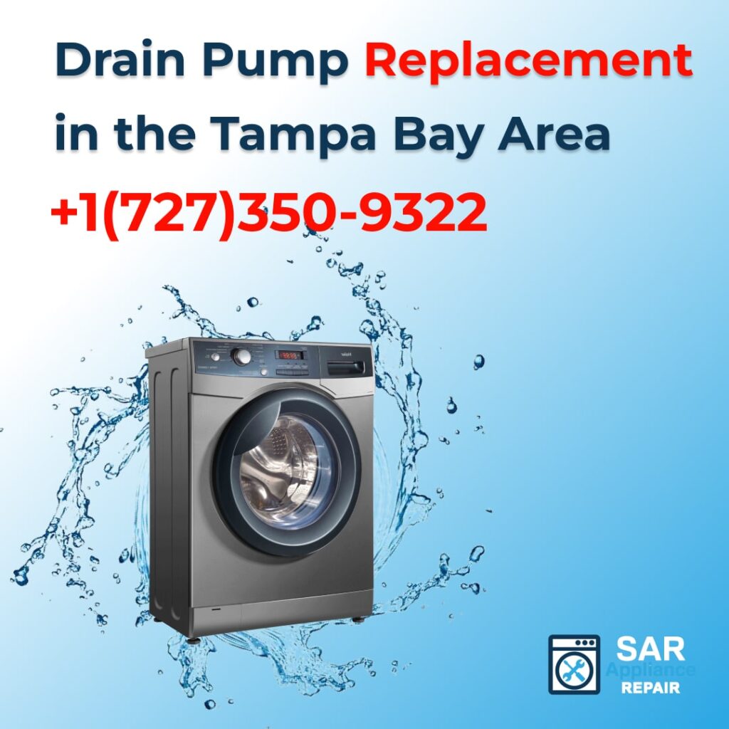 Drain Pump Replacement in Tampa Bay Area