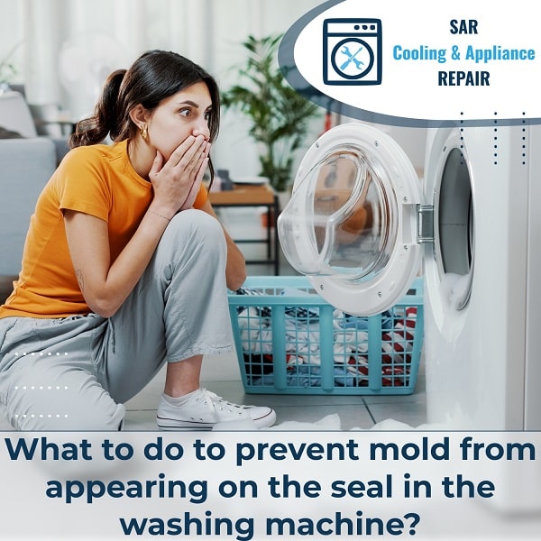 Mold on the seal in the washer