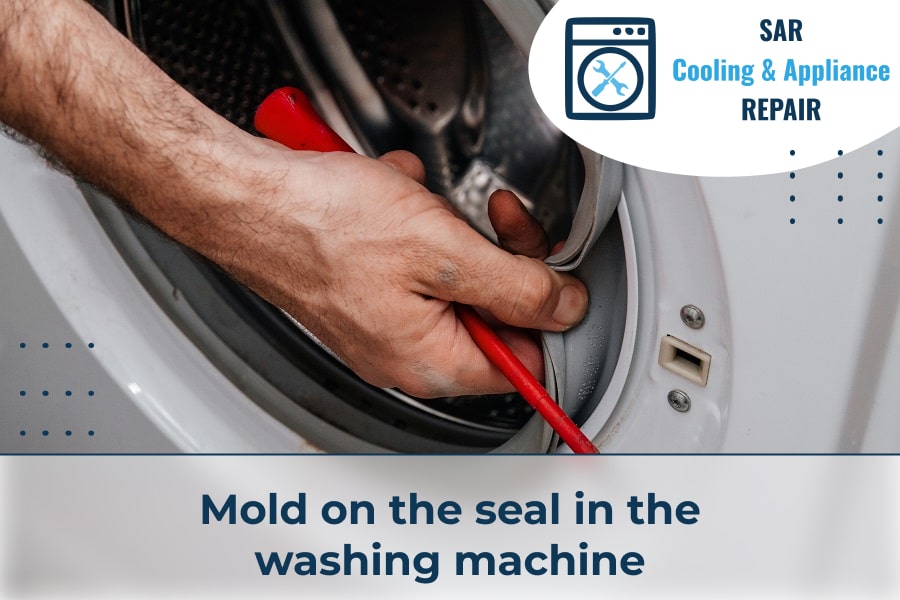 Mold on the seal in the washing machine