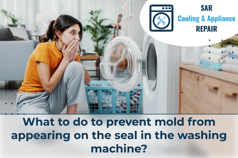 What to do to prevent mold from appearing on the seal in the washing machine