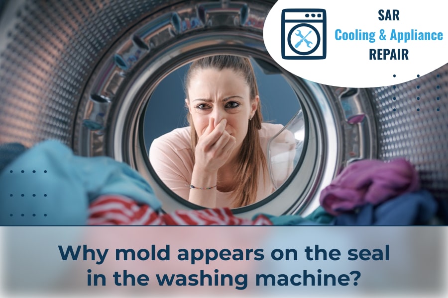 Why mold appears on the seal in the washing machine