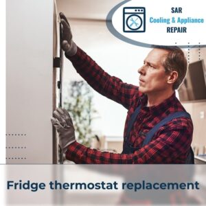 Fridge thermostat replacement