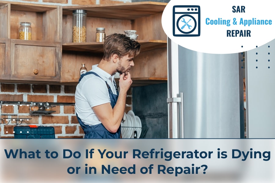 What to Do If Your Refrigerator is Dying or in Need of Repair