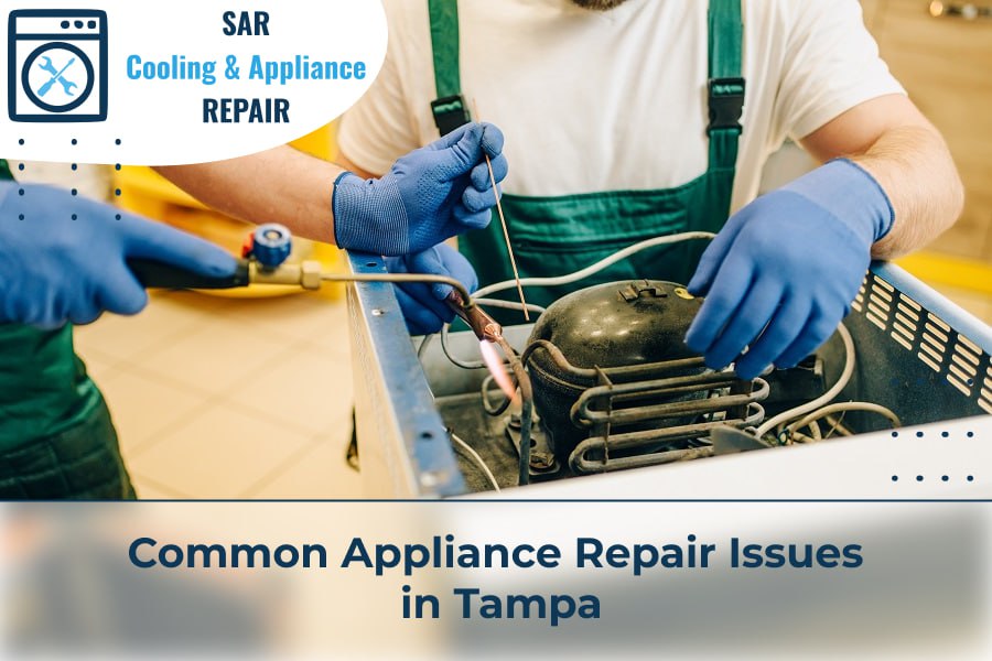 Common Appliance Repair Issues in Tampa